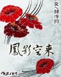 鳳影空來
