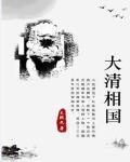 大清相國