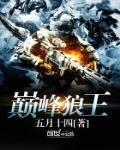 特勤精英