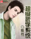 超級武學系統