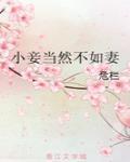 小妾當然不如妻