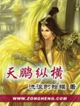 天鵬縱橫