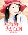總裁的天價寶貝