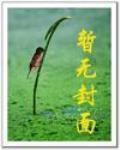 超級淘寶系統