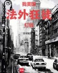 我，美國法外狂徒，打錢