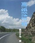 高級動物