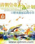 清朝皇帝養成計劃