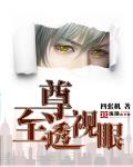 至尊透視眼