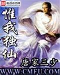 惟我獨仙